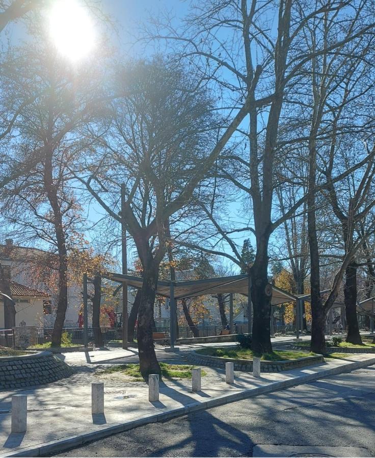 Apartmán Fbm Anagenessis - Ευ Ζην Edessa Exteriér fotografie