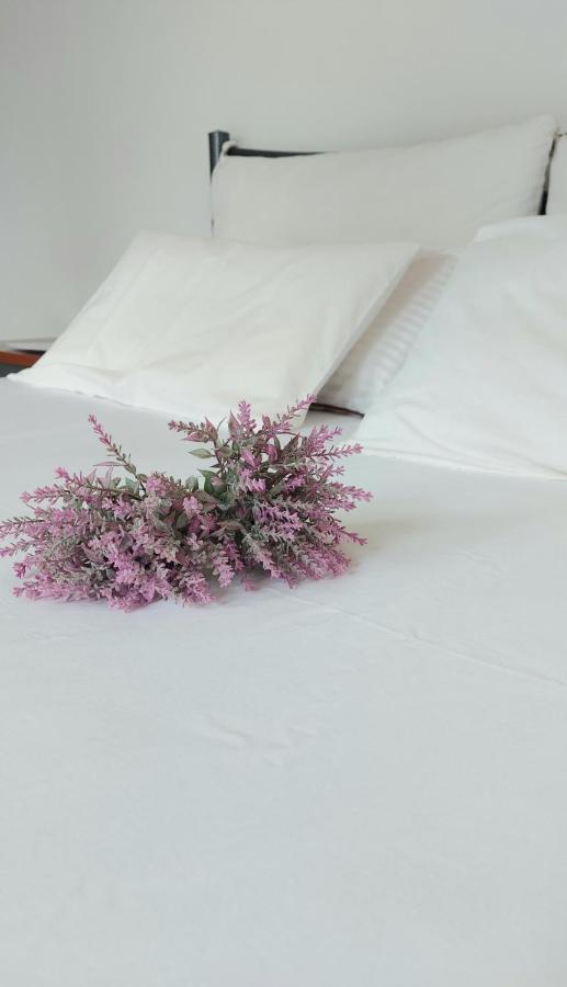 Apartmán Fbm Anagenessis - Ευ Ζην Edessa Exteriér fotografie